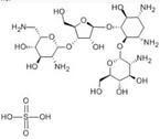 Paromomycin Sulfate