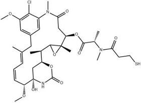 DM1