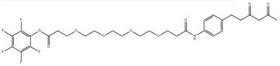 Diketone-PEG-PFP ester (PEGl-PEGn)