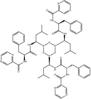 Bortezomib