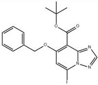 tert-Butyl 7-(benzyloxy)-5-iodo-[1,2,4]triazolo[1,5-a]pyridine-8-carboxylate