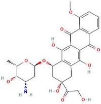 Doxorubicin