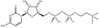 Citicoline sodium