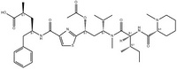 Tubulysin M