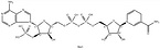 β-NADPH