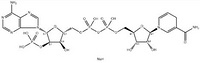 β-NADPH