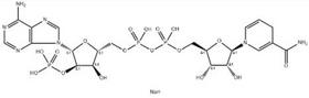 β-NADPH