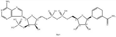 β-NADPH