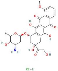 Doxorubicin hyclrochloride