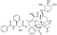 10-Deacetyl-7-xylosyl pacli taxel