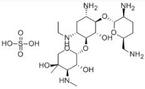 Etimicin Sulfate