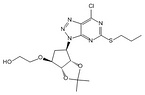 Ticagrelor Intermediate(376608-75-2)