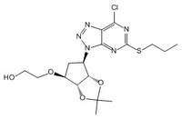 Ticagrelor Intermediate(376608-75-2)