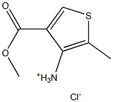 4-(methoxycarbonyl)-2-methylthiophen-3-aminium chloride