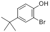 2-Bromo-4-tertButylphenol