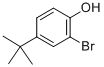 2-Bromo-4-tertButylphenol