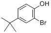 2-Bromo-4-tertButylphenol