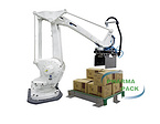 LFC-40P Automatic Case Palletizer