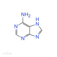 Adenine