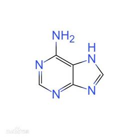 Adenine