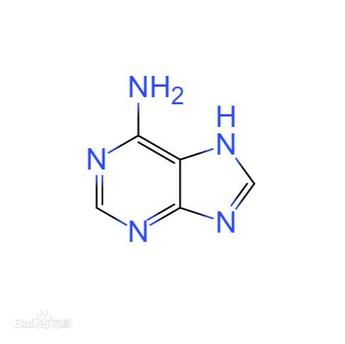 Adenine