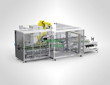 ALFC-04S Automatic Case Packer