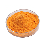 Coenzyme Q10