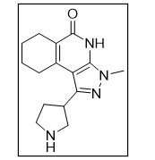 3-Methyl-1-(pyrrolidin-3-yl)-3,4,6,7,8,9-hexahydro-5H-pyrazolo[3,4-c]isoquinolin-5-one