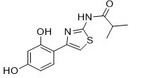 N-[4-(2,4-dihydroxyphenyl)-1,3-thiazol-2-yl]-2-methylpropanamide