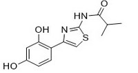N-[4-(2,4-dihydroxyphenyl)-1,3-thiazol-2-yl]-2-methylpropanamide