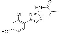 N-[4-(2,4-dihydroxyphenyl)-1,3-thiazol-2-yl]-2-methylpropanamide