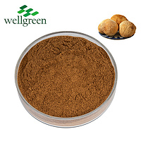 Organic Lion's Mane Extract 30% Seeds Colony Whole Dried Hericium Mushroom Polysaccharides