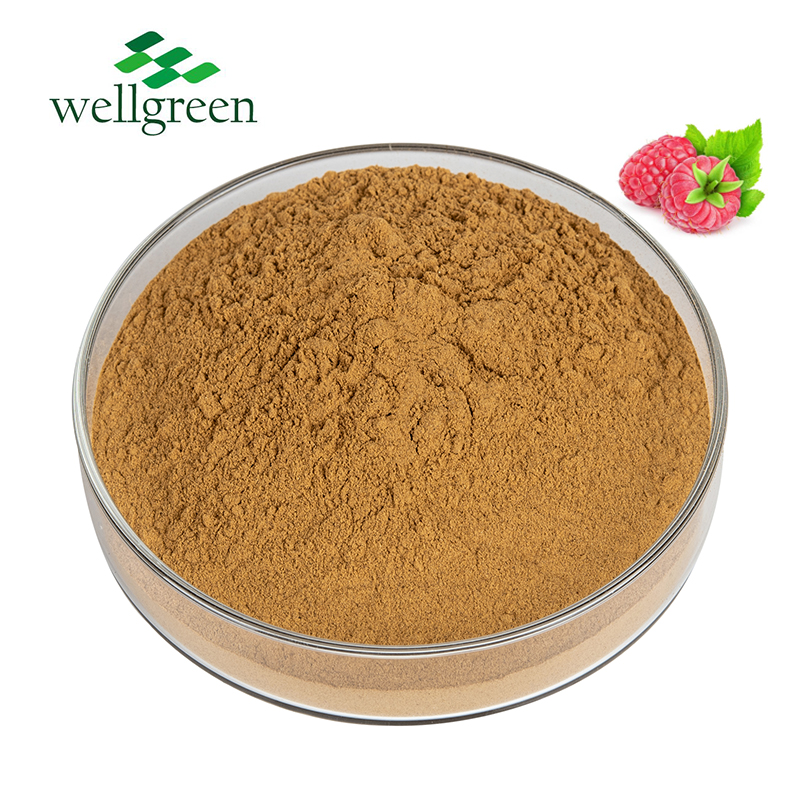 Fruit Fructus Rubi Wholesale Seed Extract Pwoder Instant Organic Raspberry Ketone Powder