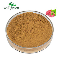 Fruit Fructus Rubi Wholesale Seed Extract Pwoder Instant Organic Raspberry Ketone Powder