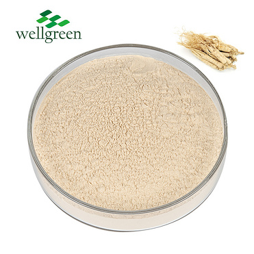 Extract Red Korean Panax Gold Siberian Root American Cosmetic Organic Bitter Ginseng Powder