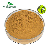 Powder Vitamins Cosmetics Cas 90045-36-6 Usp Grade Folium Ginkgo Biloba Leaf Extract
