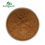 Powder Gingerol Root Liquid 6-Gingerol Organic Oil White Chinese 90% 10:1 Black Ginger Extract