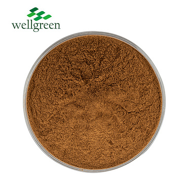 Powder Gingerol Root Liquid 6-Gingerol Organic Oil White Chinese 90% 10:1 Black Ginger Extract