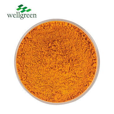 Extract Usp Herb Rutine Manufacturers Troxerutine Rutoside Troxerutin Price Rutin Powder