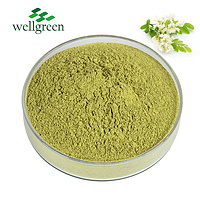 Flower Powder Bud Supplement Dihydrate Flos Sophorae Quercetin 95% Sophora Japonica Extract