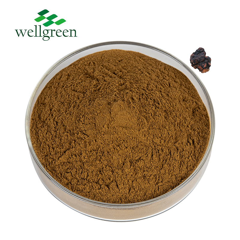 Powder Siberia Siberian P.E Betula Antler Ronchn Organic Polysaccharides Chaga Mushroom Extract