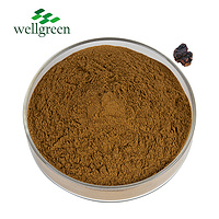 Powder Siberia Siberian P.E Betula Antler Ronchn Organic Polysaccharides Chaga Mushroom Extract
