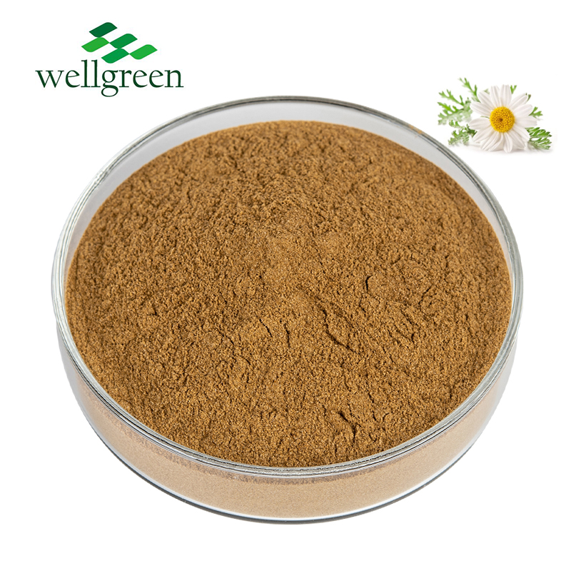 Dried Tea Flower Seeds Price Powder Harvest Extract Artificial Flowers Camomile Blue Organic Chamomi