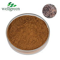 Maitake Mushroom Extract Dry Organic Reishi Shitake Dried Muchroom Grifola Frondosa Powder