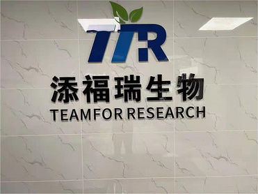 tert-Butyl(trans-2-aminocyclohexyl)carbamate