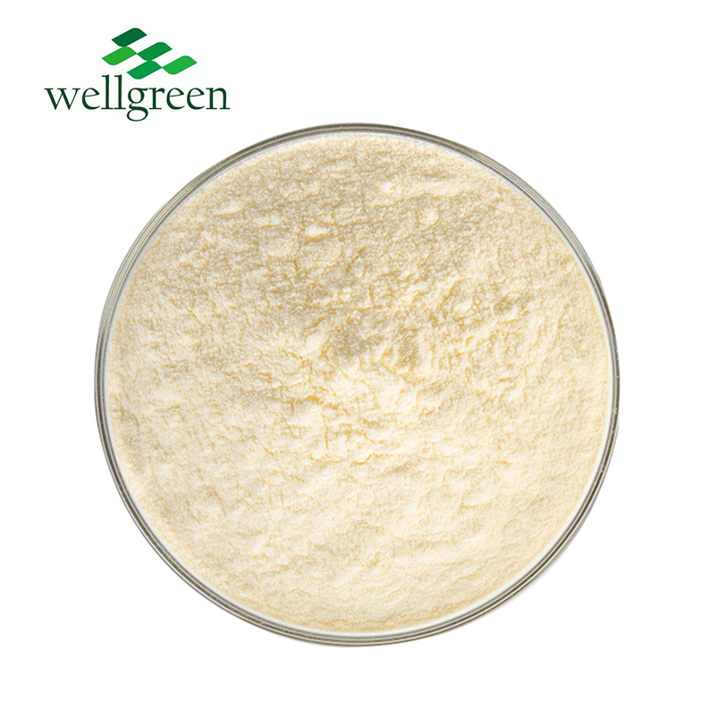 The Factory In Stock Bulk Natural  Water Soluble Root Organic Diabete Yacon Powder