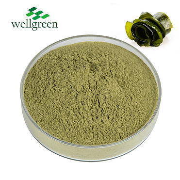 Food?Supplement?Organic?Laminaria?japonica?Dried?Dry?Seaweed?Salted?Extract?Wakame?powder