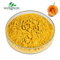 Professional Export Organic Seed Extract Dried Flavor Protein Water Bulk Spray Pumpkin Powder