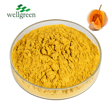 Professional Export Organic Seed Extract Dried Flavor Protein Water Bulk Spray Pumpkin Powder