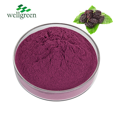 Factory Supply Organic Fruit Furit Juice White Cosmetic Grade Water Soluble Paper Mulberry Powder